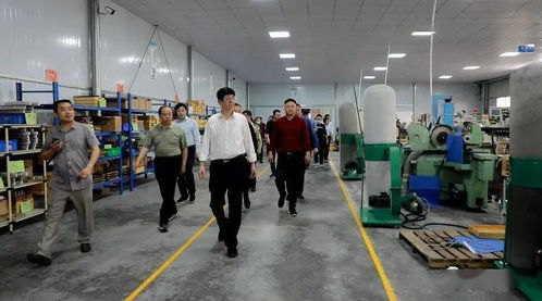 全縣鄉(xiāng)村振興工作現場推進會召開 技術轉讓助力鄉(xiāng)村產業(yè)升級